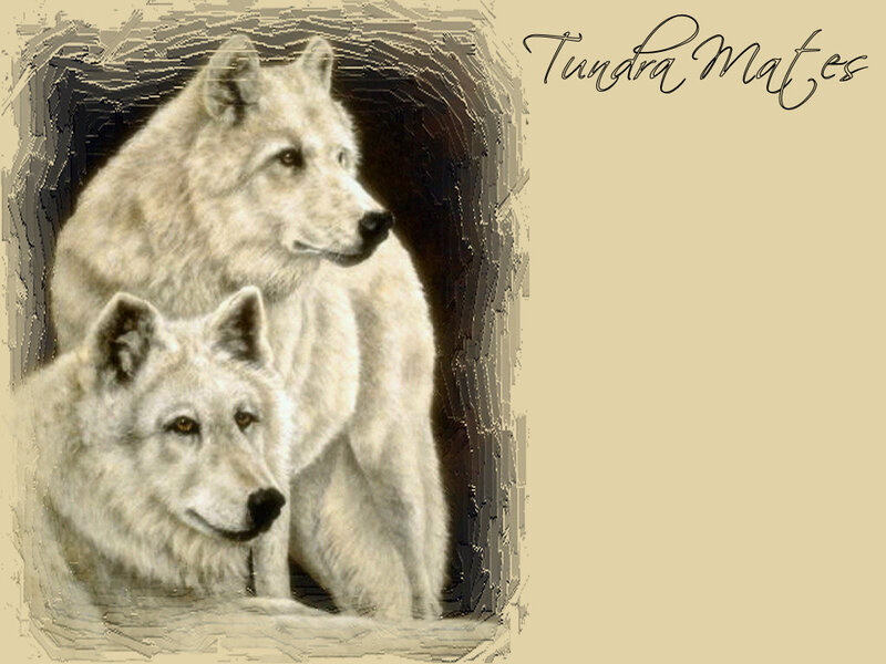 Two White Wolves — Beige