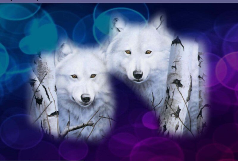 Two White Wolves — Blue, Mystical