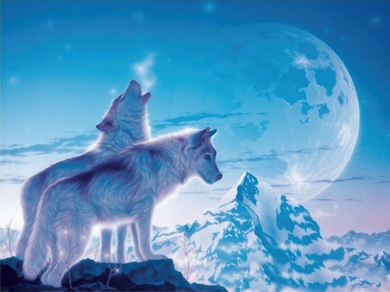 Two White Wolves — Blue, Serene, Night, Digital Art, Moon