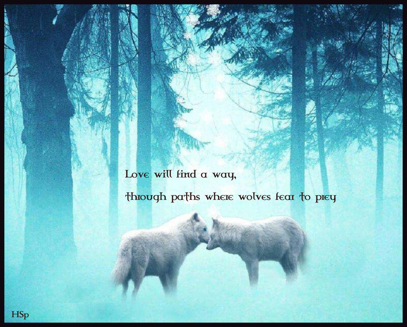 Two White Wolves — Blue, Serene, Winter