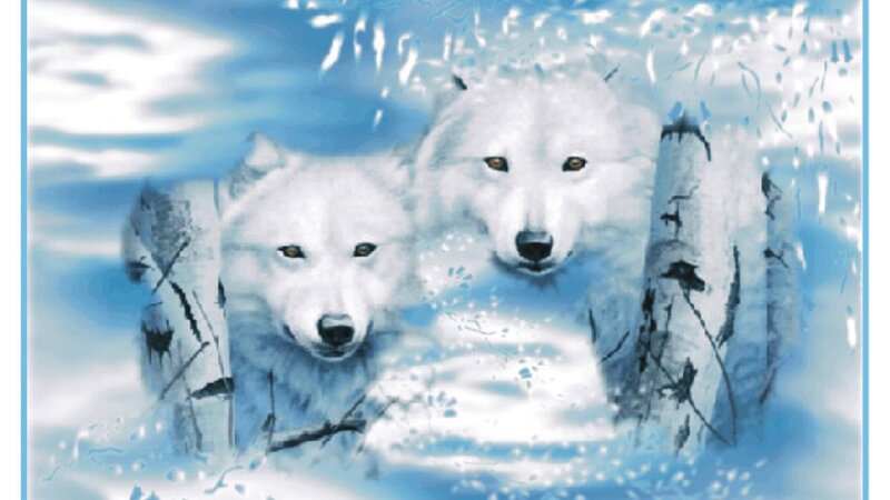 Two White Wolves — Blue