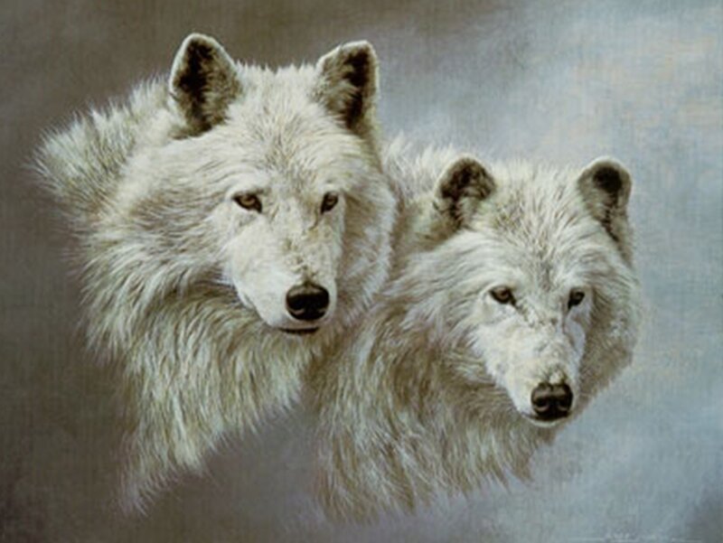 Two White Wolves — Calm, Painting, Fur, Gray