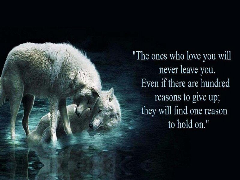 Two White Wolves — Dramatic, Night