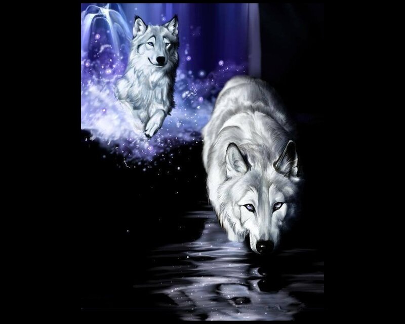 Two White Wolves — Dramatic