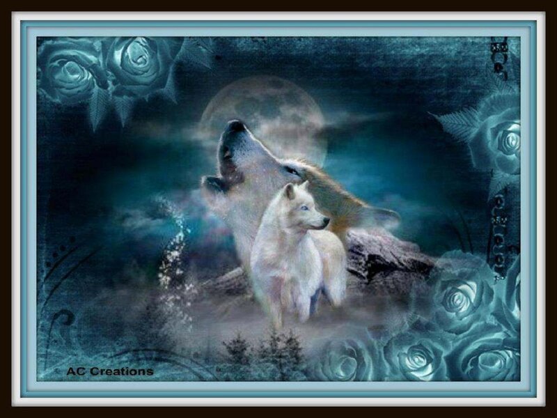 Two White Wolves Howling — Blue