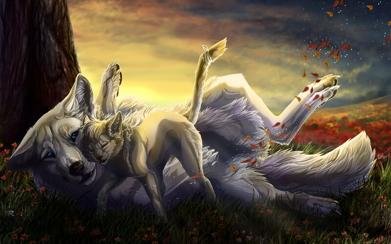 Two White Wolves Playing — Serene