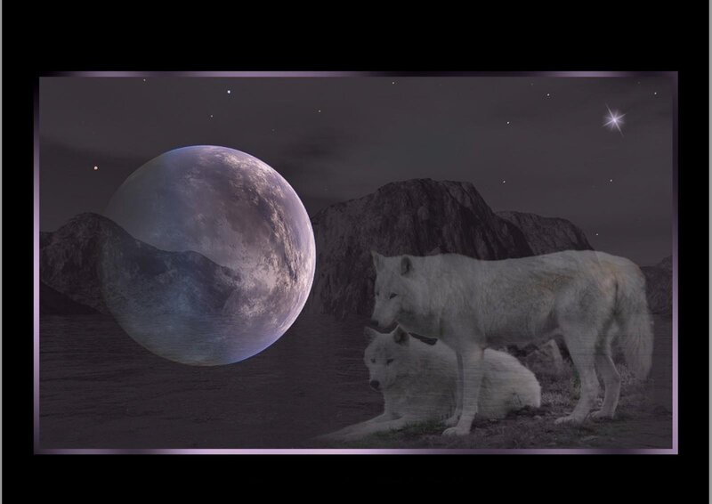 Two White Wolves — Purple, Dramatic