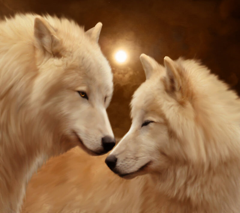 Two White Wolves — Serene, Night, Digital Art, Moon