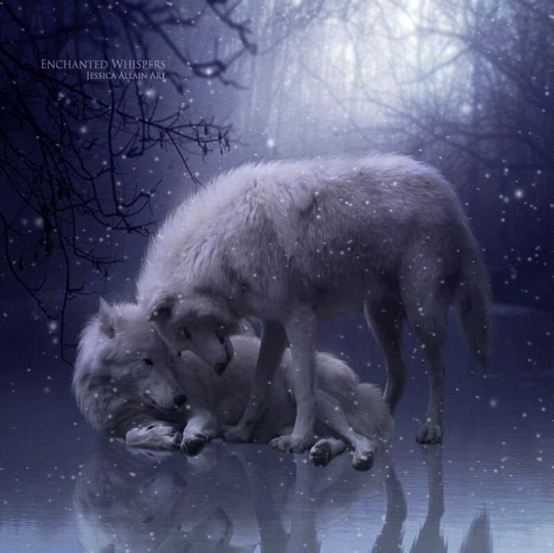 Two White Wolves — Serene, Night, Digital Art, Snow