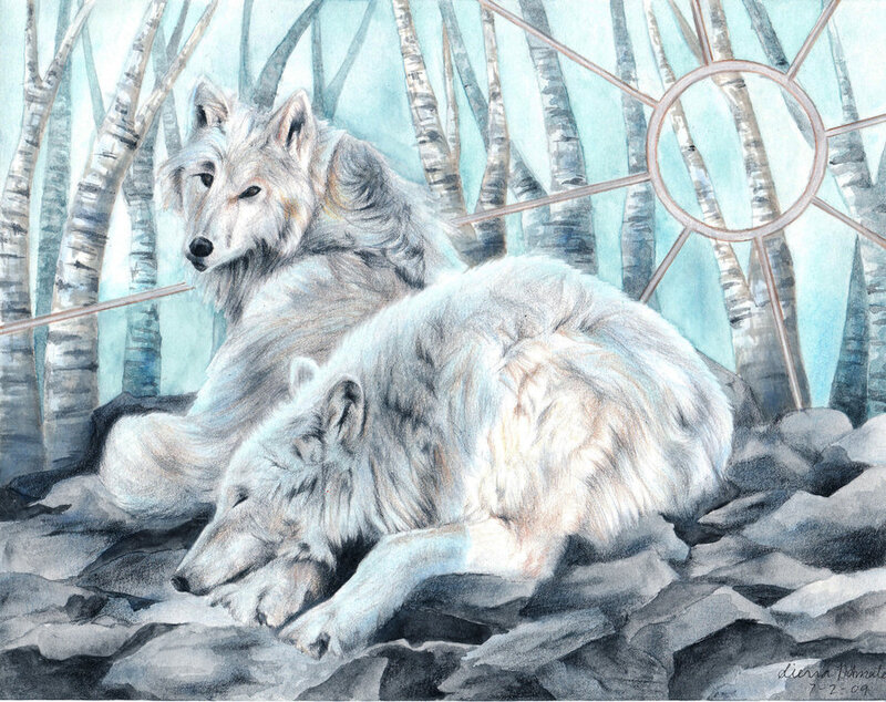 Two White Wolves — Serene