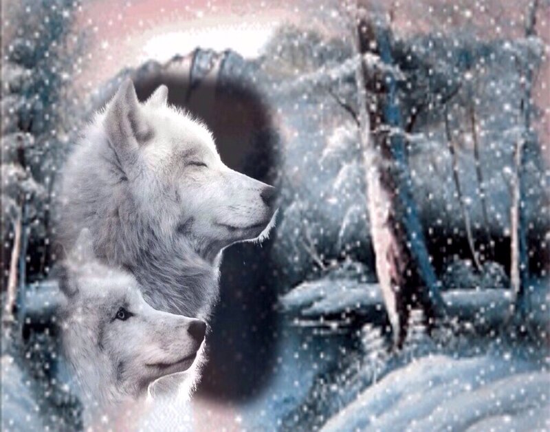 Two White Wolves — Serene, Winter, Digital Art, Snow