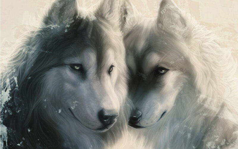 Two White Wolves — Serene, Winter, Digital Art