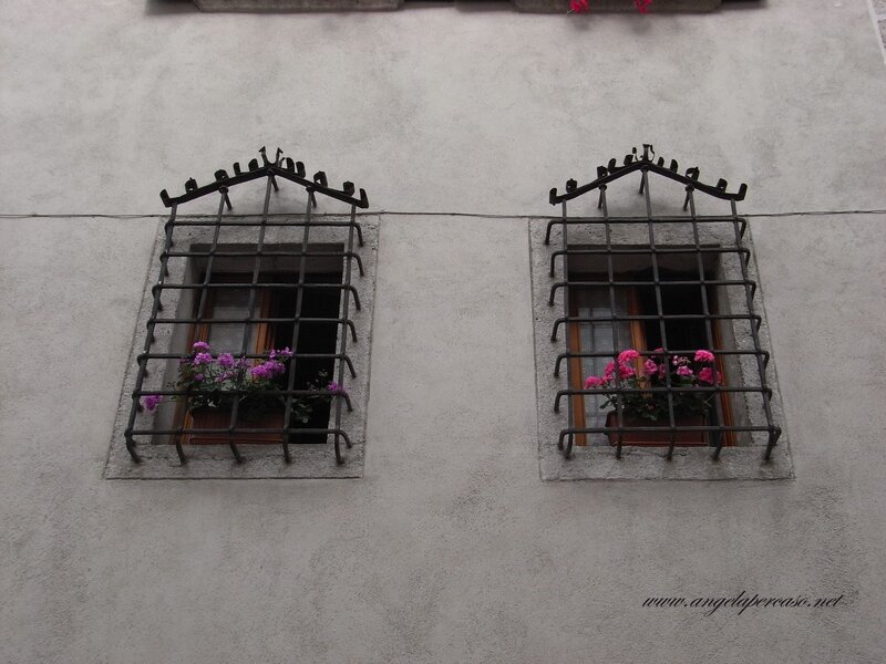 Two Windows with Flower Boxes — Gray