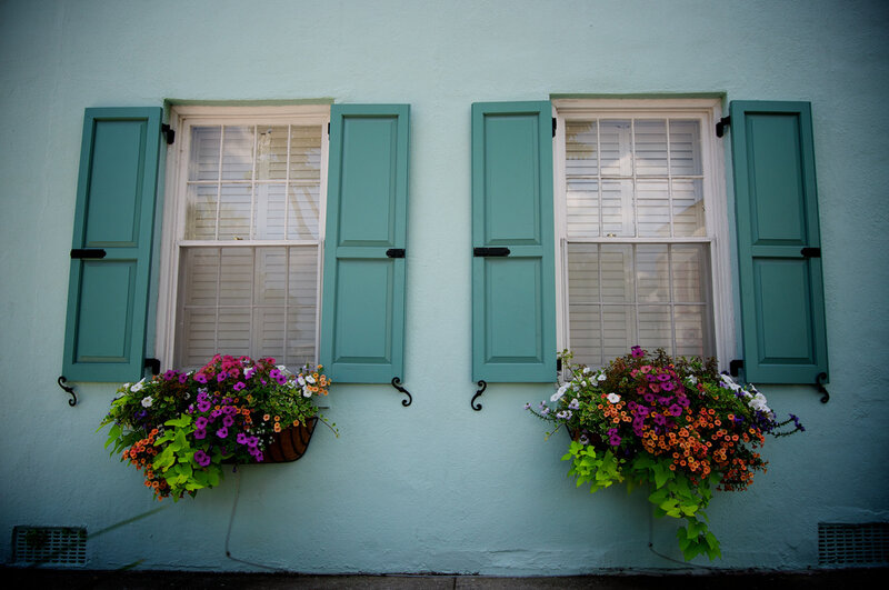 Two Windows with Flower Boxes