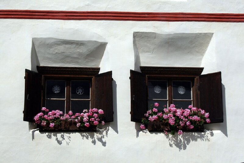Two Windows with Flowers