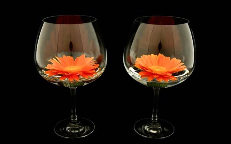 Two Wine Glasses with Flowers — Orange
