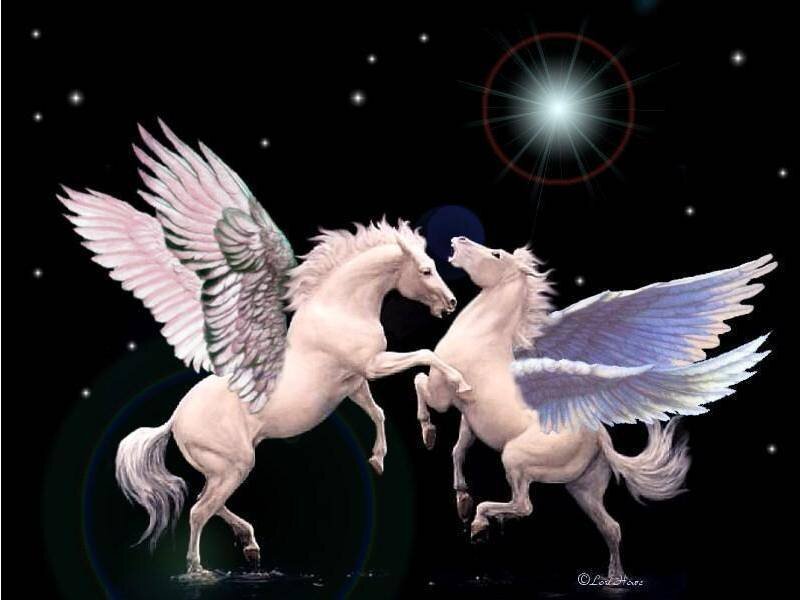Two winged horses in starry sky