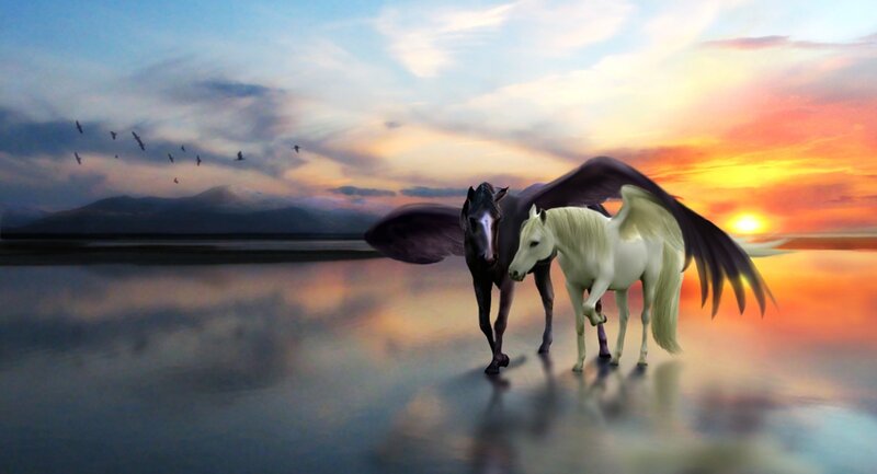 Two Winged Horses — Orange