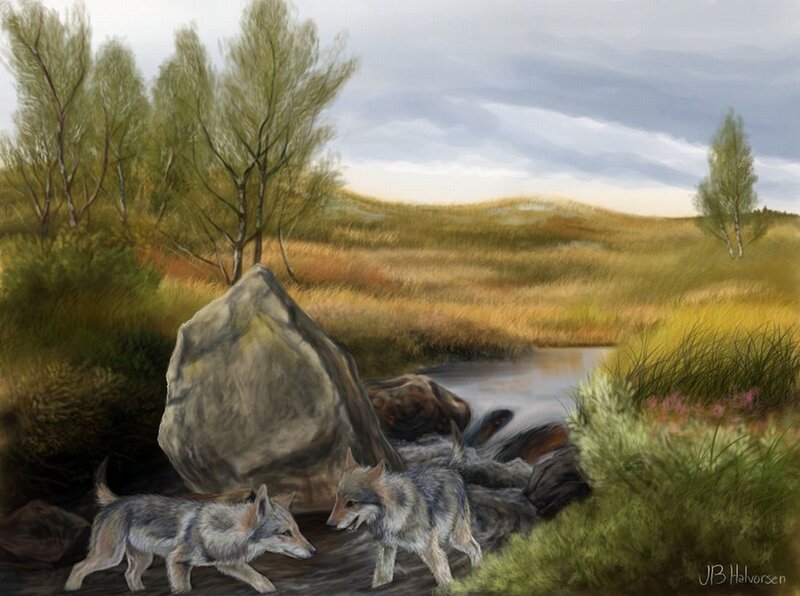 Two Wolf Pups — Green, Serene