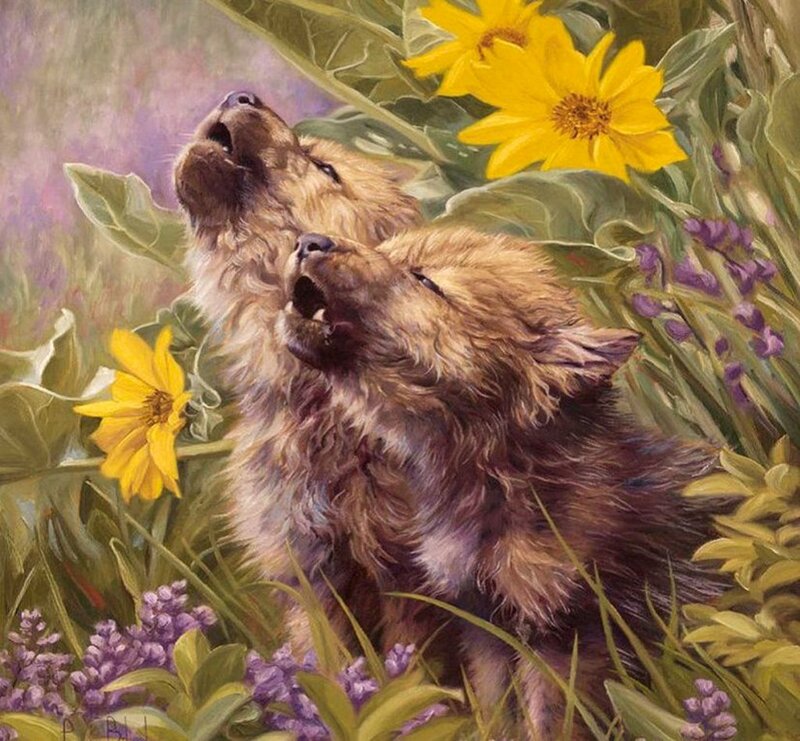 Two Wolf Pups Howling