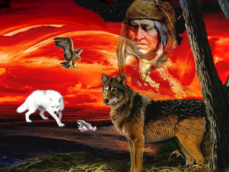 Two Wolves and a Man — Red