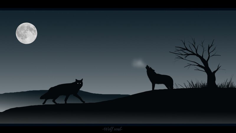 Two Wolves at Night — Black, Dramatic