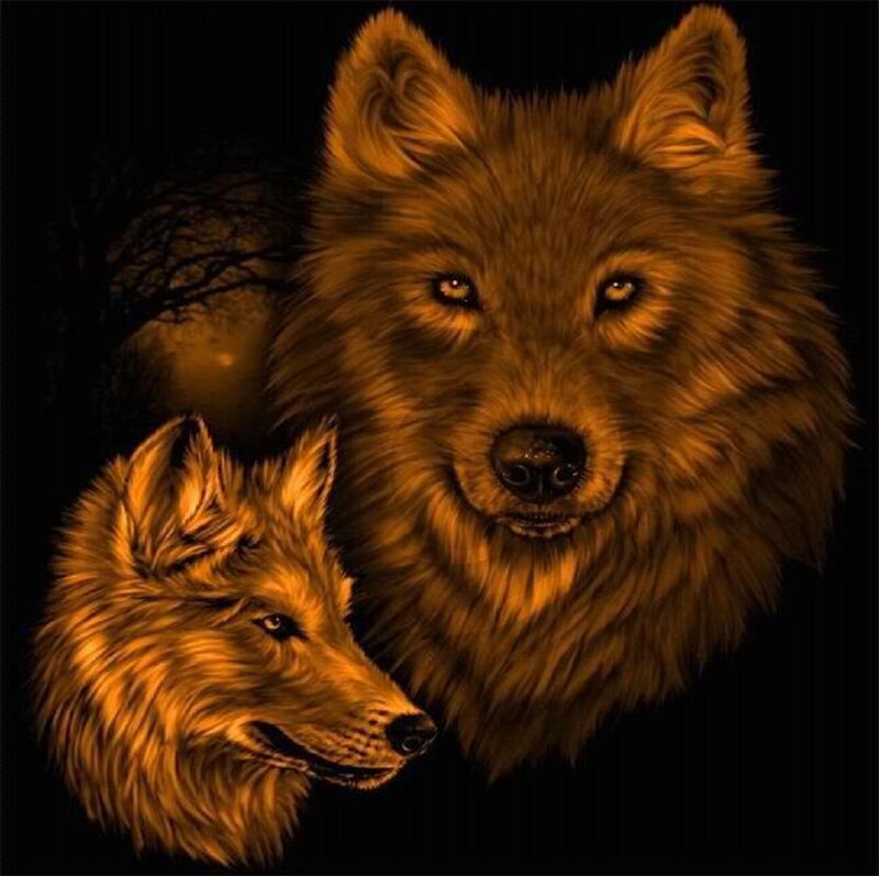 Two Wolves at Night — Black