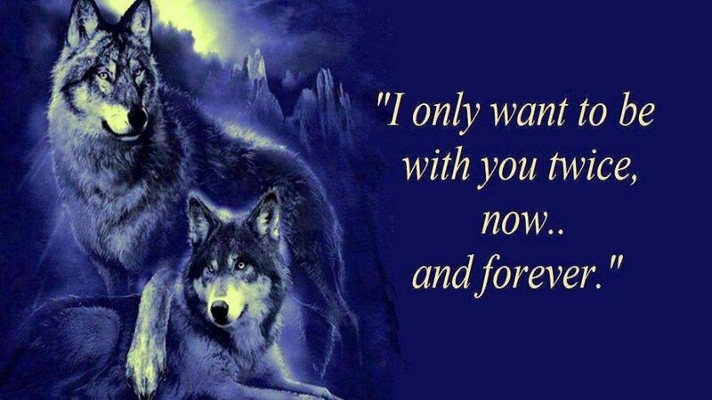 Two Wolves at Night — Blue, Dramatic, Digital Art