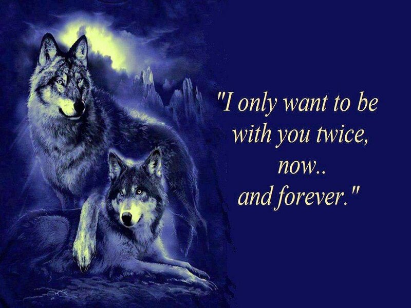 Two Wolves at Night — Blue, Dramatic