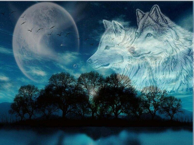 Two Wolves at Night — Blue
