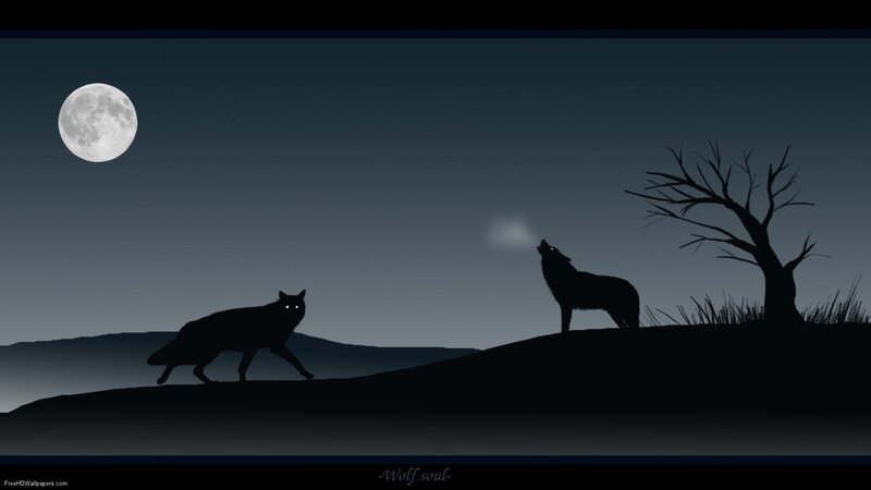 Two Wolves at Night
