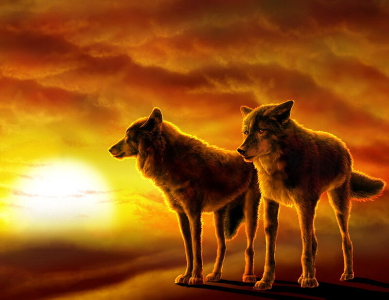 Two Wolves at Sunset — Orange, Dramatic