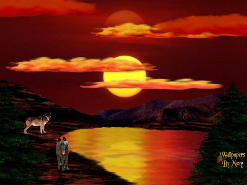Two Wolves at Sunset — Red