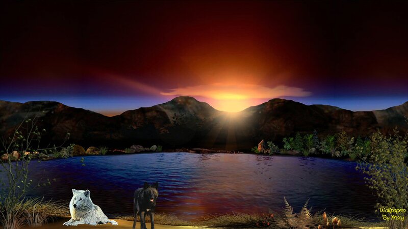 Two Wolves by Lake — Blue