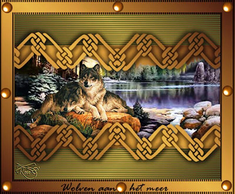 Two Wolves by Lake