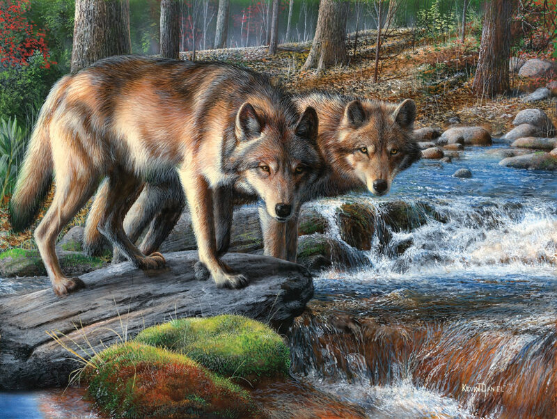 Two Wolves by Stream — Brown