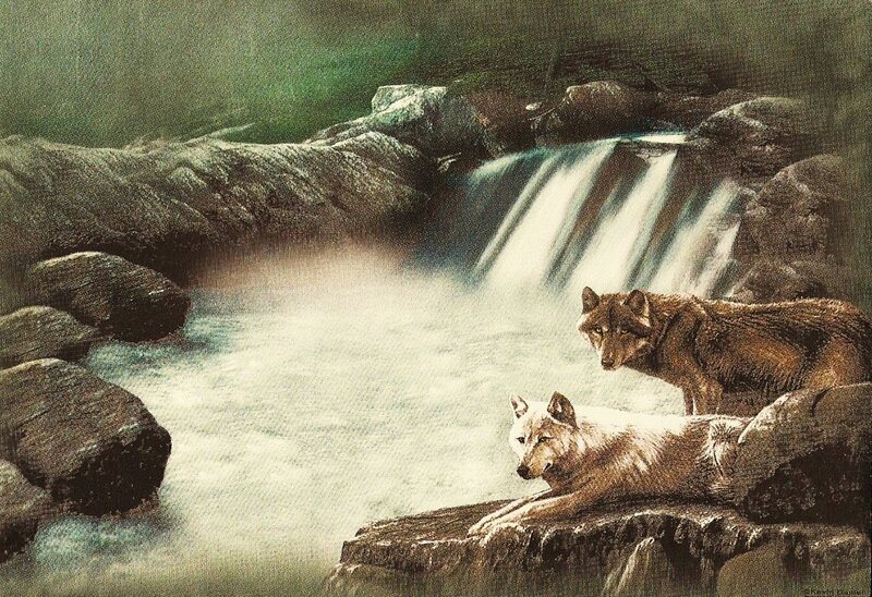 Two Wolves by Waterfall
