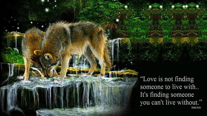 Two Wolves Drinking