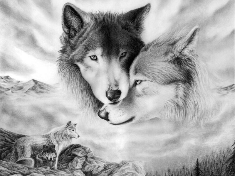 Two Wolves Embracing — Black, Dramatic, Illustration, Mountains