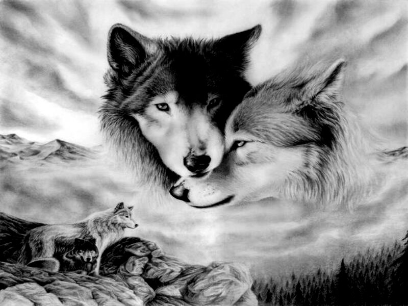 Two Wolves Embracing — Black
