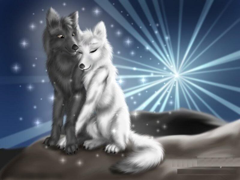 Two Wolves Embracing — Blue
