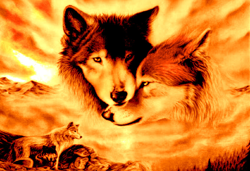 Two Wolves Embracing — Orange