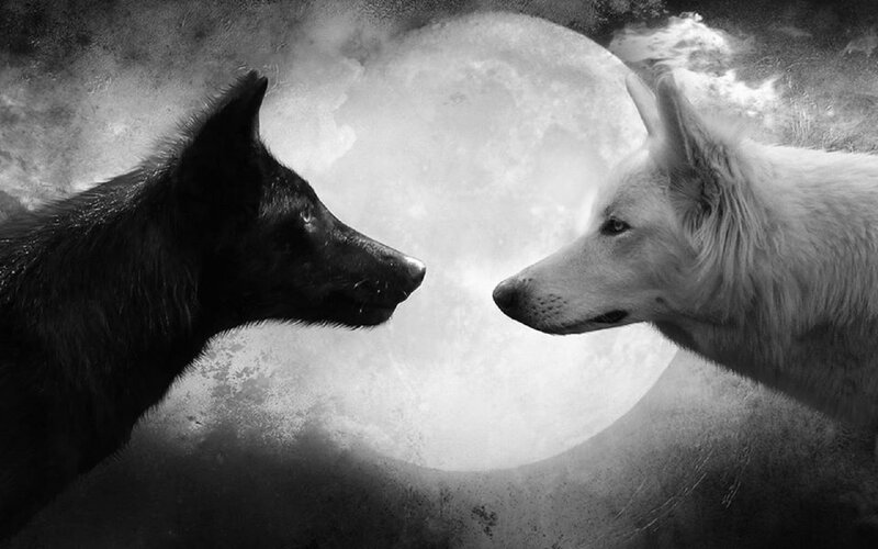 Two Wolves Facing Each Other — Black, Dramatic, Night, Digital Art, Moon, Clouds