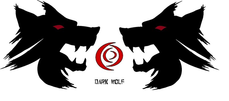 Two Wolves Facing Each Other — Black