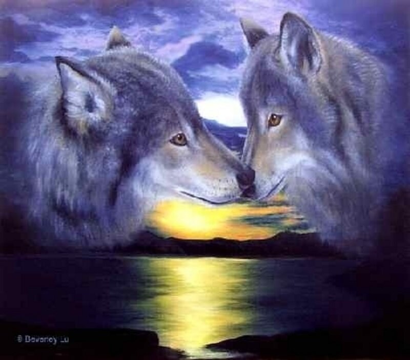 Two Wolves Facing Each Other — Blue, Serene, Sunset