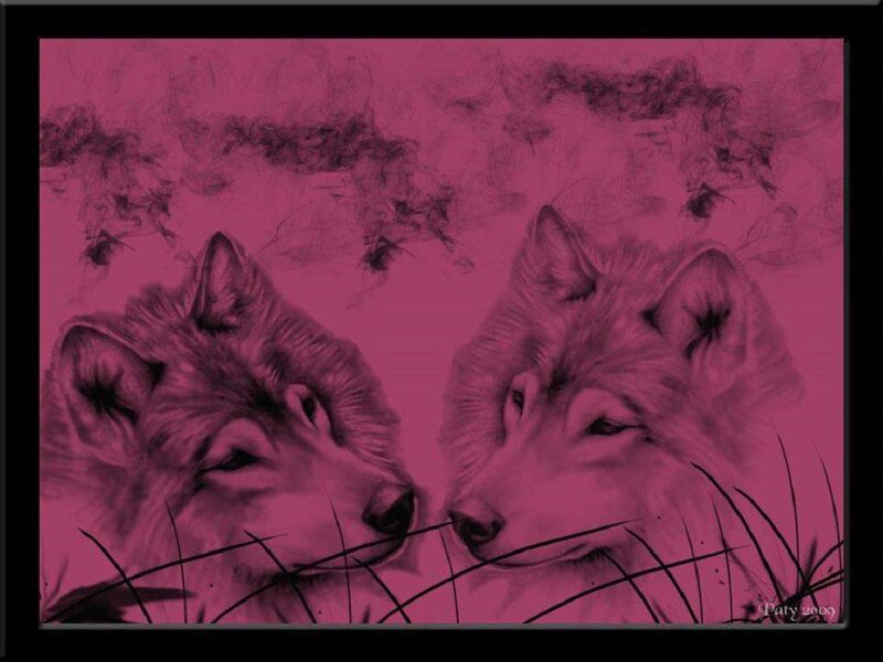 Two Wolves Facing Each Other — Magenta