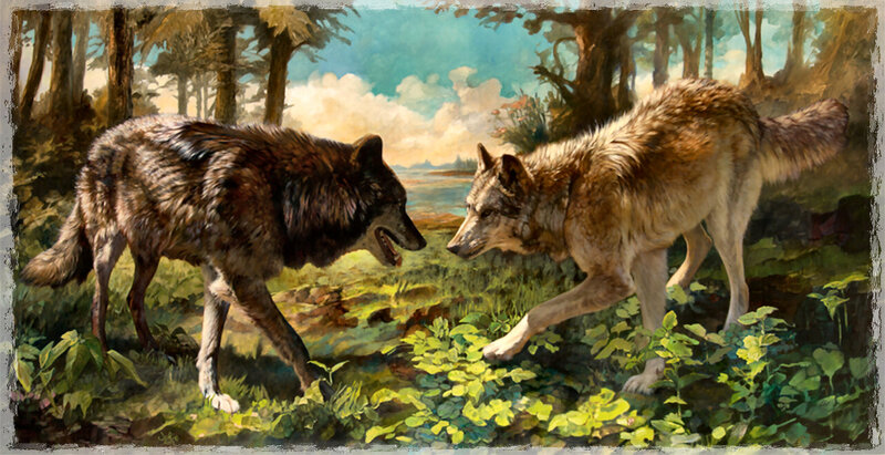 Two Wolves Facing Off