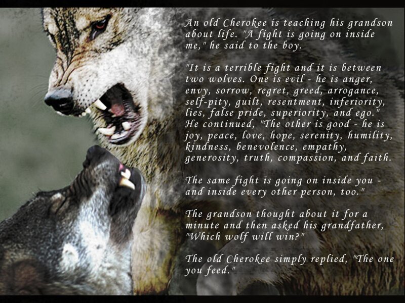 Two Wolves Fighting — Gray, Dramatic, Photograph