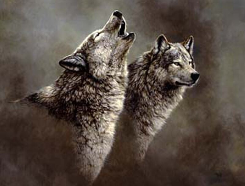 Two wolves howling at night