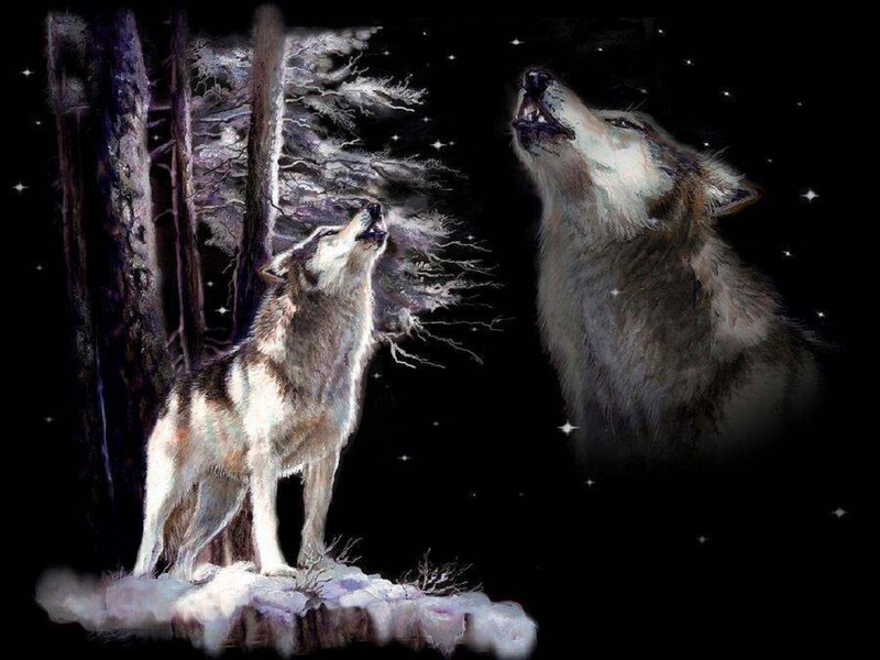 Two Wolves Howling — Black, Dramatic, Night, Digital Art, Forest
